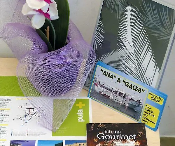 Arena Festival Apartman