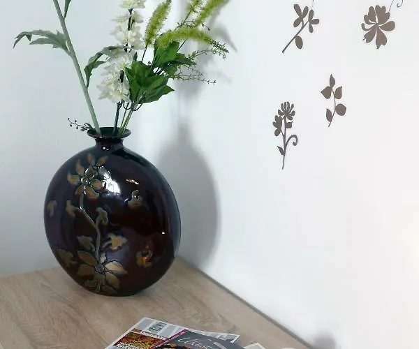 Arena Festival Apartman *